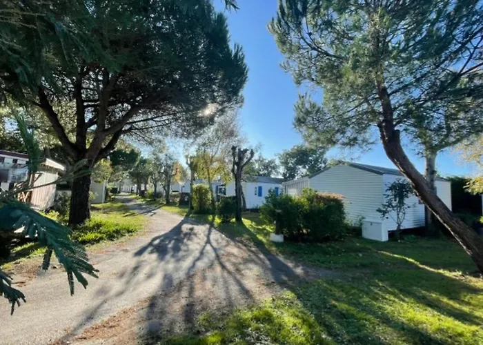 Camping Mobil-home Avec Terrasse Pour 5 Personnes à Saint-pierre-d'oléron - Api-1-52-987 Saint-Pierre-d'Oleron